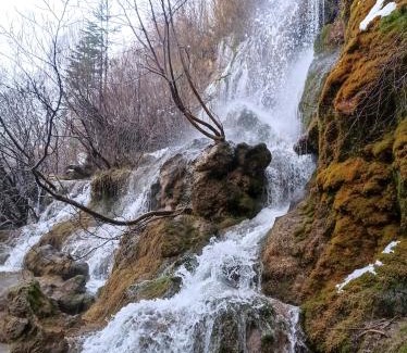 Canamares House | Hostal Cañamares