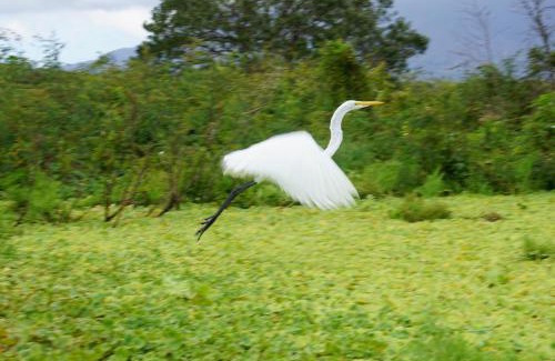 Merida Cabin | Hostal y Restaurante Rancho Merida