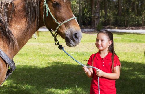 Ibarra Cabin | Hosteria Totoral