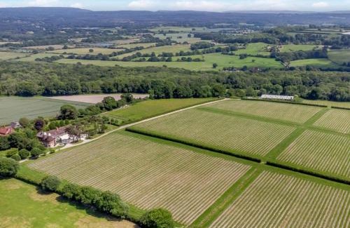 Alton Apartment | Hot Tub Retreat - Otium Wine Estate