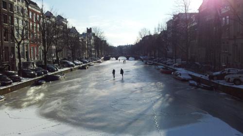 Vondelbuurt Hotel | Hotel Alexander