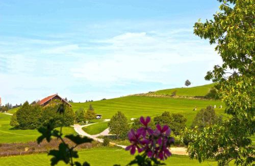 Scheidegg Hotel | Hotel Allgäu Garni