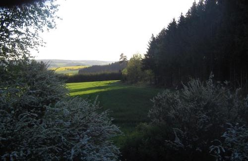 Toepen Hotel | Hotel Ambiente