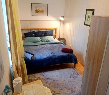 Payerbach Apartment | Hotel - Apart Zemlinski