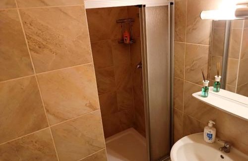 Payerbach Apartment | Hotel - Apart Zemlinski