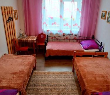 Payerbach Apartment | Hotel - Apart Zemlinski