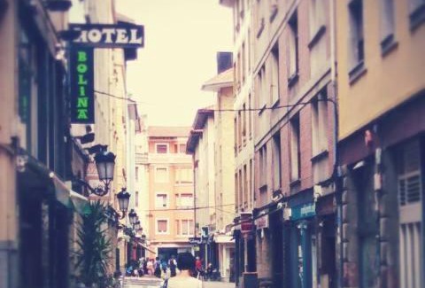 Gernika-Lumo Hotel | Hotel Boliña