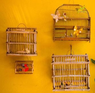 Comala Bed & Breakfast | Hotel Casa Alvarada