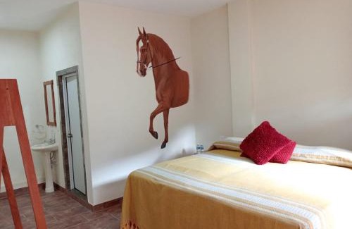 Aquismon Hotel | Hotel Hacienda Huasteca