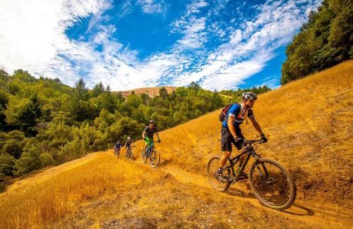 Fiuggi Hotel | Hotel Iris Crillon