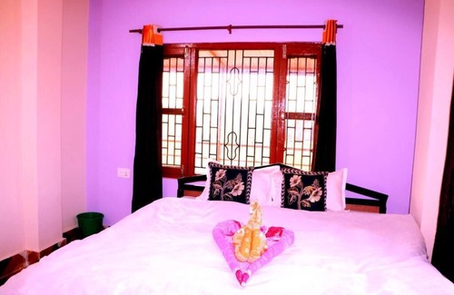 Sauraha Hotel | Hotel National Park