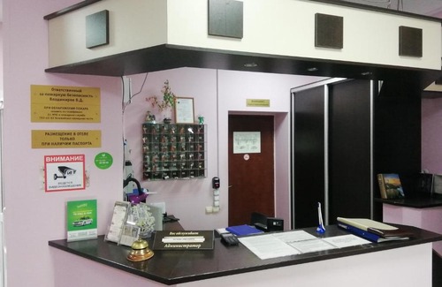 Dachnoe Hotel | Hotel Ringo