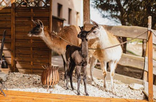 Ceska Skalice Hotel | Hotel Rozkoš