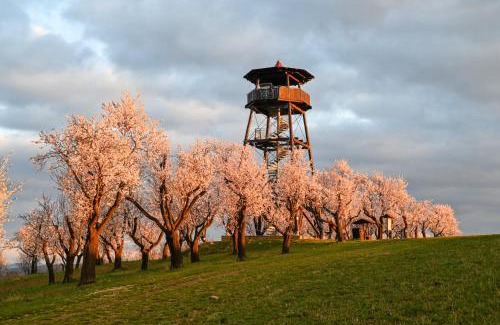 Hustopece Hotel | Hotel Rustikal Hustopeče - U Mandloňových sadů