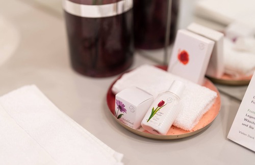 Triesen Hotel | Hotel Schatzmann