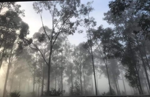 Cessnock House | House by Lavender Lane - Forest Views, FREE Parking