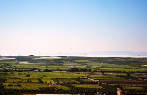 Canosa di Puglia House | House for 5 guests with 100m² in Canosa di Puglia (77378)