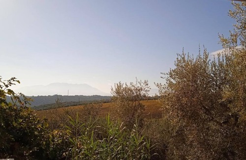 Moscufo House | House in the countryside surrounded by olive trees, with garden and terrace