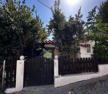 Pisia House | House in the Forest