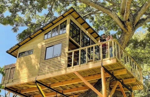 Utica House | House in the Tree near Bogota SOPHIA