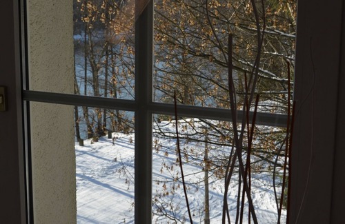 Frankenhain Apartment | House Lütsche - right on the lake in the Thuringian Forest