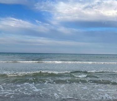 Hammam Al Agzaz House | House of Musk - Diar Laila, Ezzahra Plage