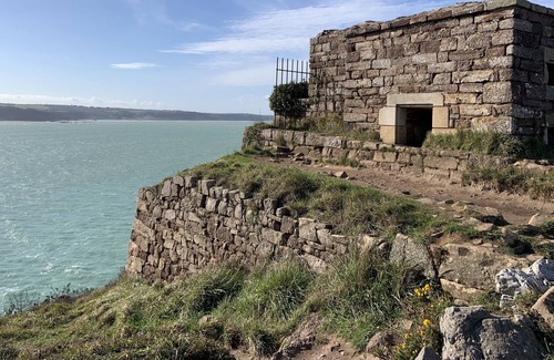 Plestan House | house of violets