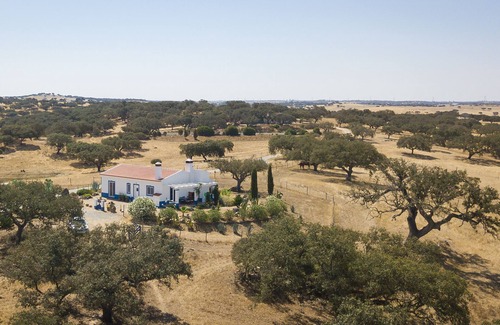 Ourique House | House surrounded by nature