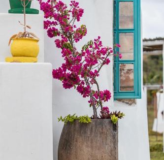 Xai-Xai House | Humbi Farm