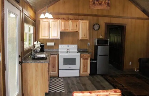 Peebles Cabin | Hunter Lodge (Secluded in Amish Country and peaceful)