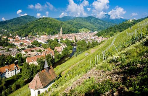 Wattwiller Other | Huttopia de Wattwiller