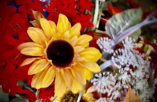 Maldegem Bed & Breakfast | Huyze-peppins