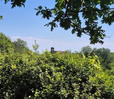 Faraone Apartment | I fiori apartments A