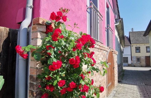 Odenheim House | I'm Herzen des Kraichgaus 2