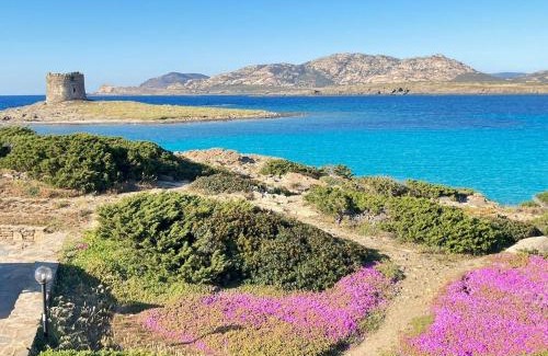 Stintino Apartment | IDA PALACE, nuovo appartamento deluxe fronte mare