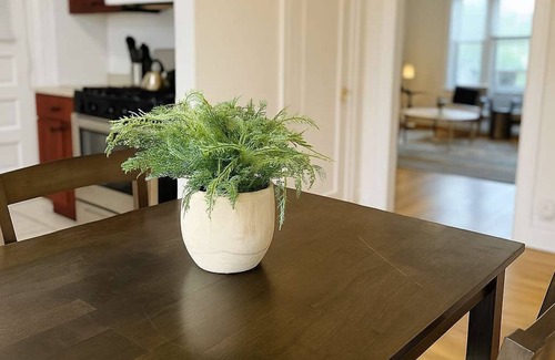 Old Irving Park Apartment | Ideal & Spacious 1BR Apt