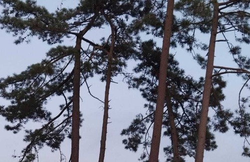 Vilanova House | Ideal to rest with your family near the sea