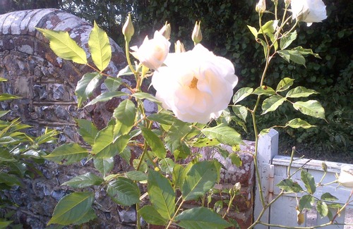 Streat Cottage | Idyllic large cottage with stunning views, in Streat near Ditchling