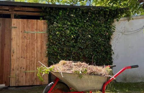 Rabenkirchen Apartment | Idyllisches Appartement nahe Ostsee und Schlei