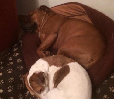 Kobyla Gora House | Ignacówka