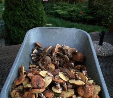 Kobyla Gora House | Ignacówka