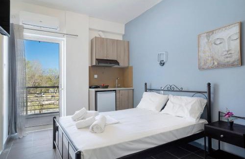 Pidima Kyras Apartment | Iguana studio 1