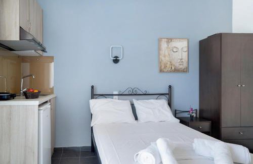 Pidima Kyras Apartment | Iguana studio 1