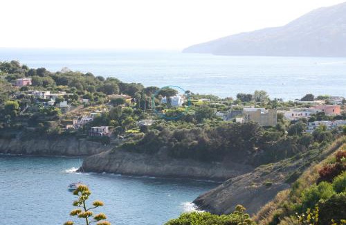 Procida Apartment | Il Carrubo