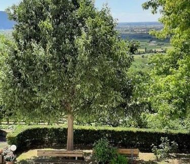 Vo House | Il Castagneto