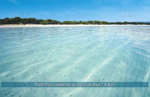 Masainas Apartment | Il Fenicottero