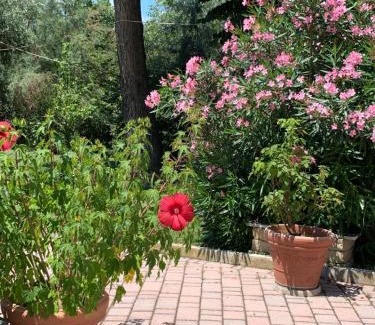 San Costanzo Bed & Breakfast | Il Lauro