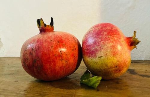 Martis Bed & Breakfast | Il Melograno