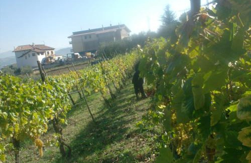 Sicignano degli Alburni House | il sentiero del riccio