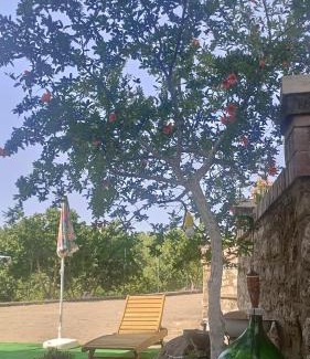 Rifreddo Bed & Breakfast | Il Sottobosco